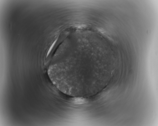 X0000088670528200706211853
