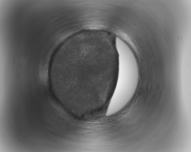 X0000088670531200706211852