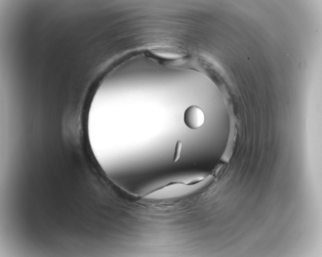 X0000088670532200706211852
