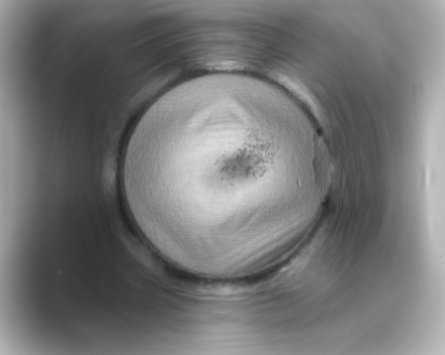 X0000088670533200706211852