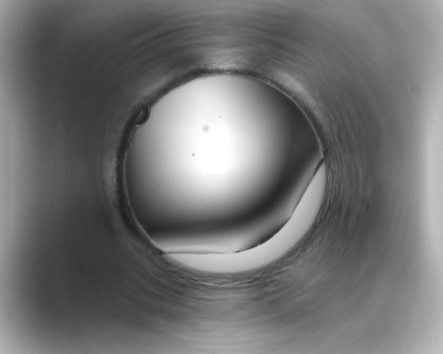 X0000088670535200706211852