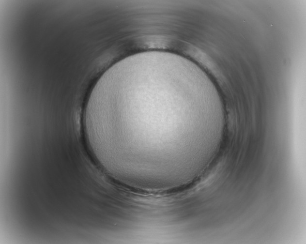 X0000088670537200706211852
