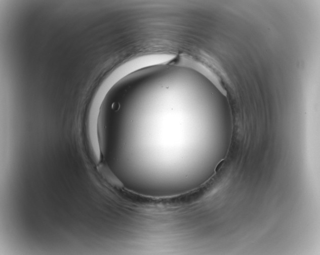 X0000088670538200706211852