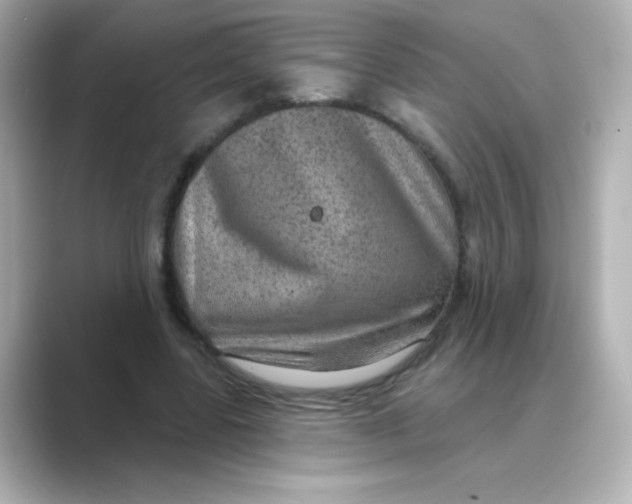 X0000088670539200706211852