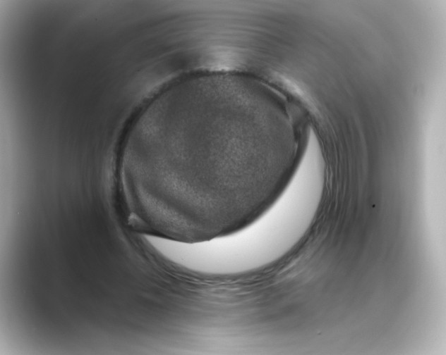 X0000088670540200706211852