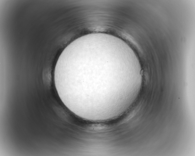 X0000088670541200706211852