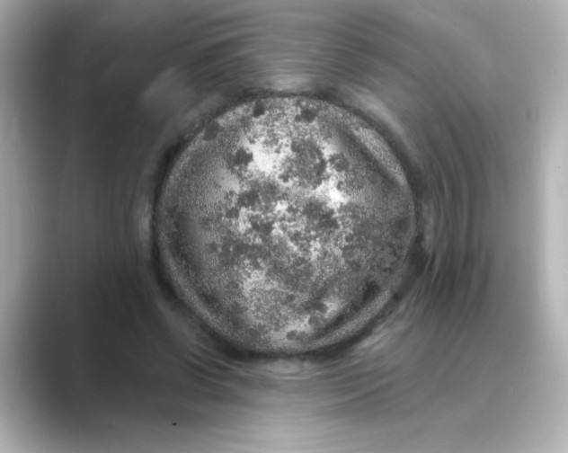 X0000088670542200706211852
