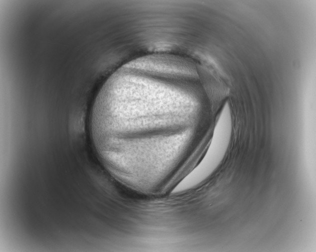 X0000088670543200706211853