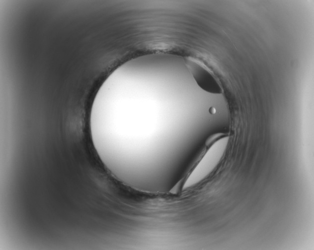 X0000088670544200706211853