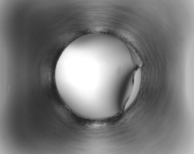 X0000088670546200706211853