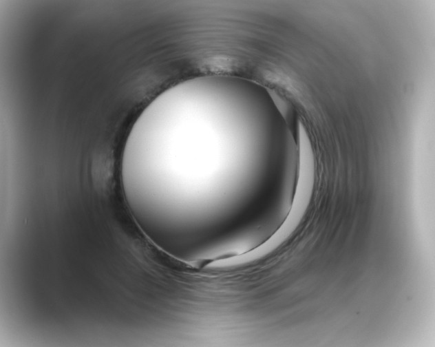 X0000088670548200706211853