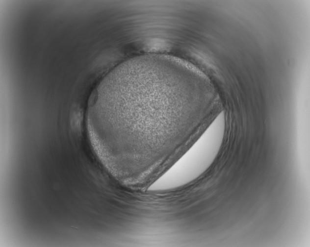 X0000088670550200706211853
