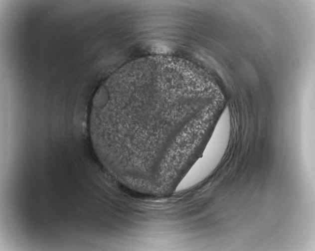 X0000088670553200706211853