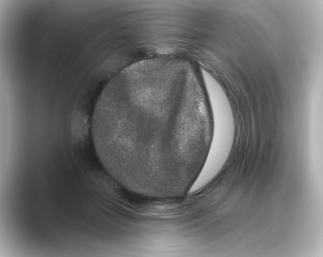 X0000088670555200706211853