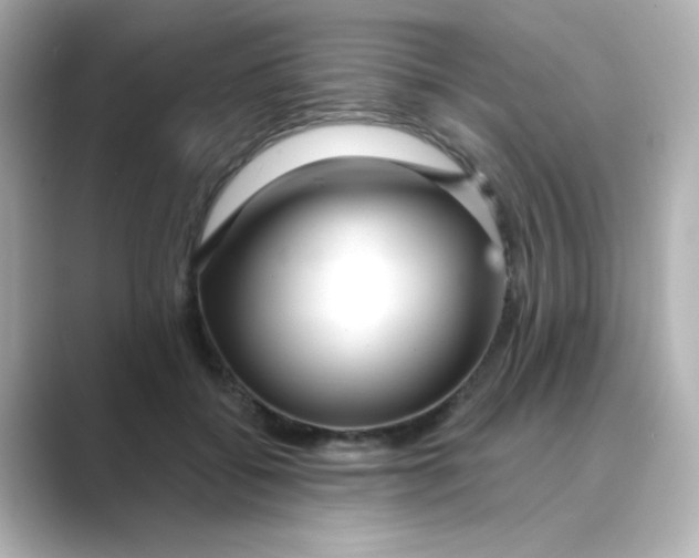 X0000088670556200706211853