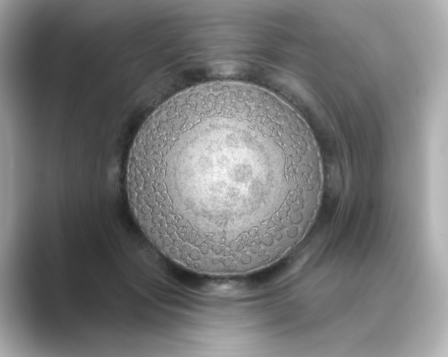 X0000088670557200706211853