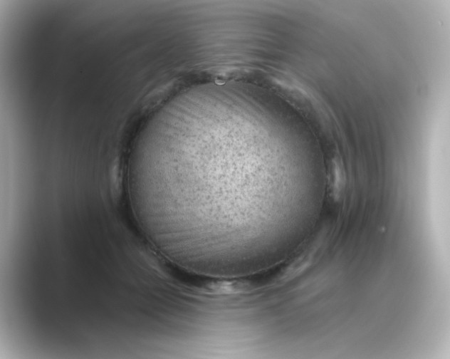 X0000088670558200706211853