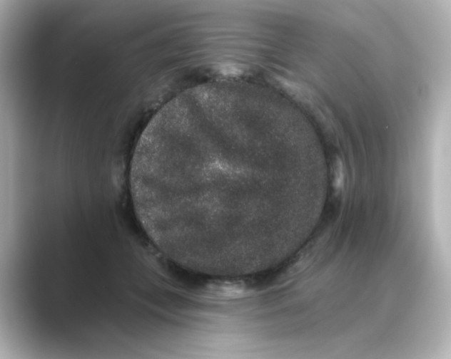 X0000088670559200706211853