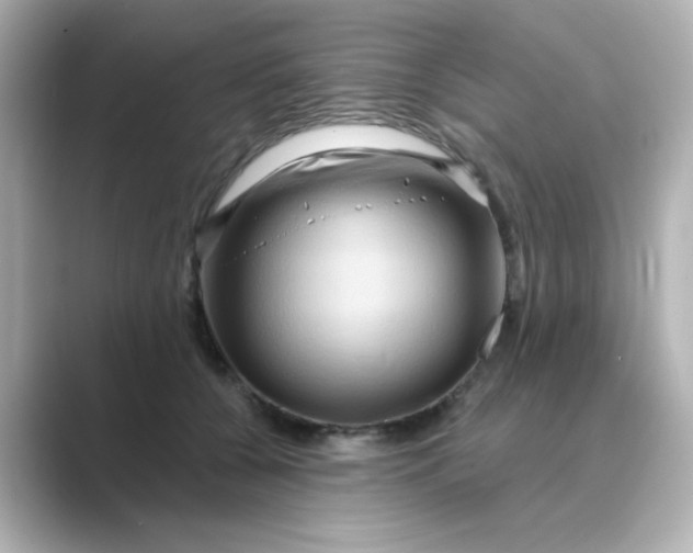 X0000088670560200706211853