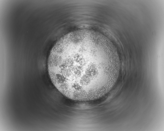 X0000088670561200706211853