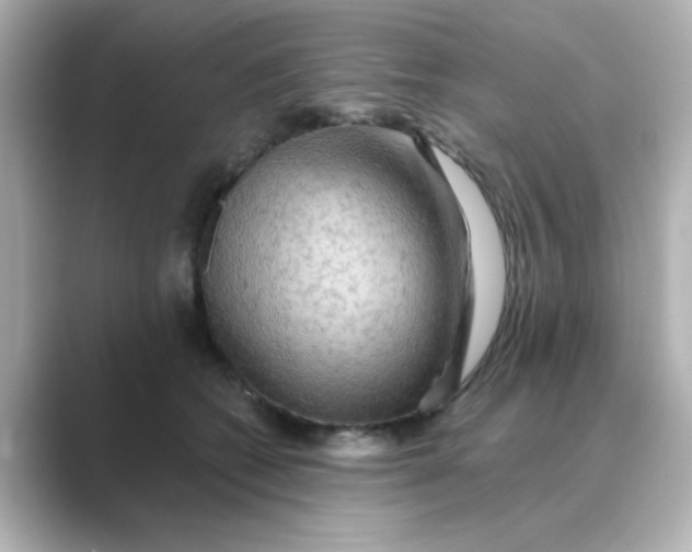 X0000088670562200706211853