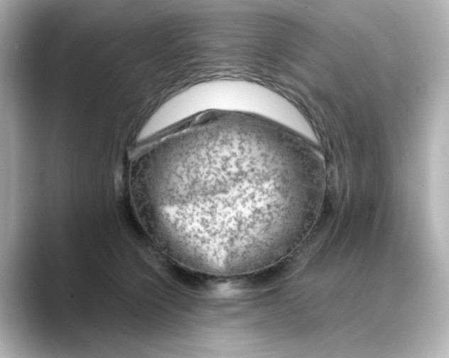 X0000088670564200706211853
