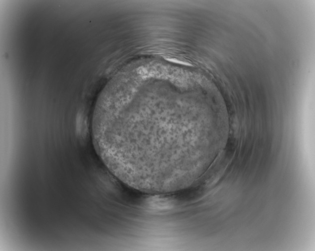 X0000088670568200706211853