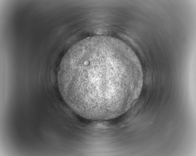 X0000088670569200706211853