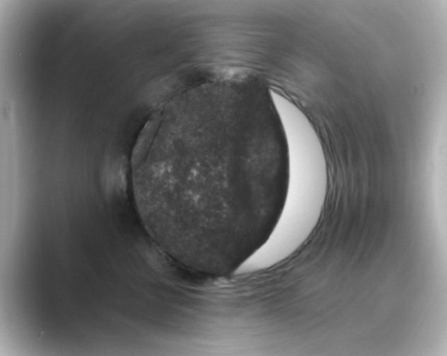 X0000088670570200706211853