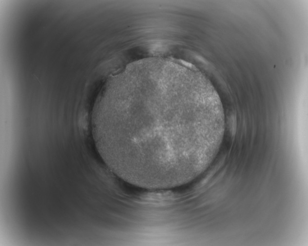 X0000088670571200706211853