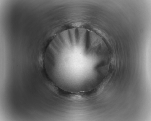 X0000088670572200706211853