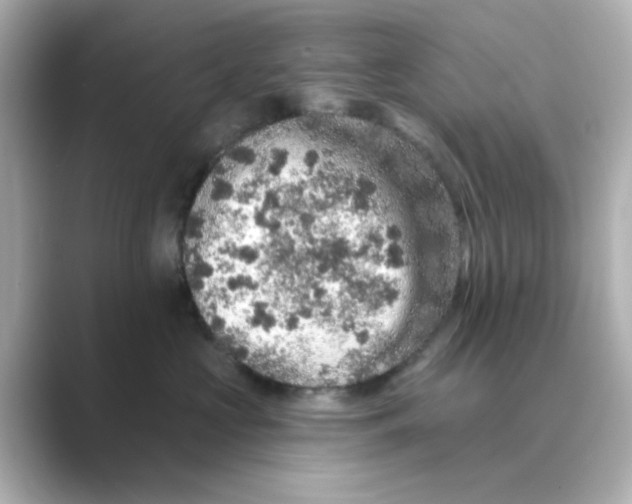 X0000088670573200706211853