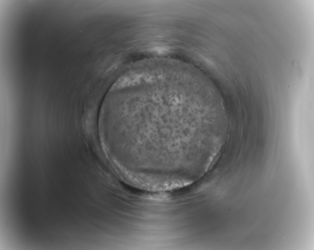 X0000088670576200706211853