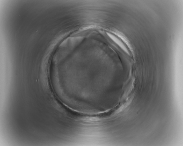 X0000088670577200706211852