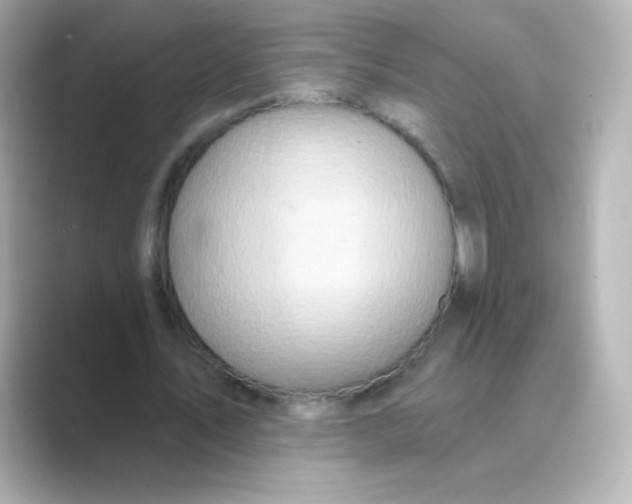 X0000088670579200706211852