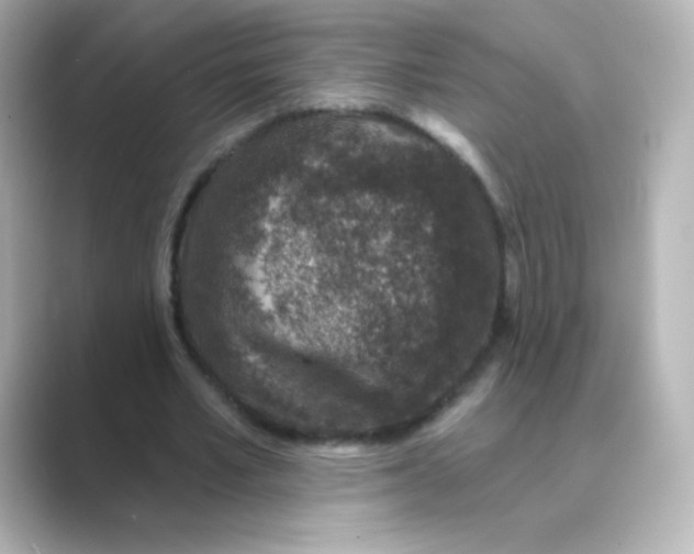 X0000088670581200706211852