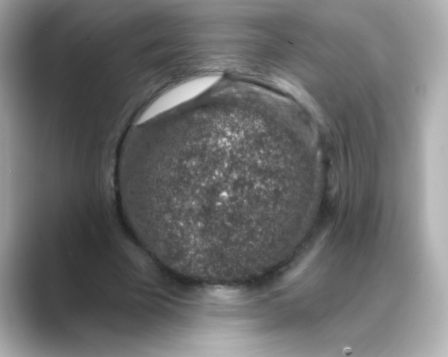 X0000088670585200706211852