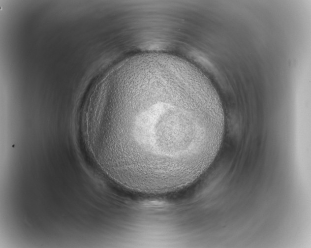 X0000088670586200706211852