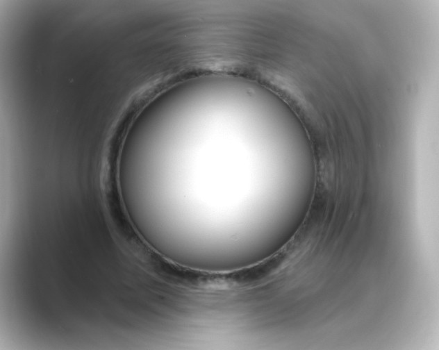 X0000088670587200706211852