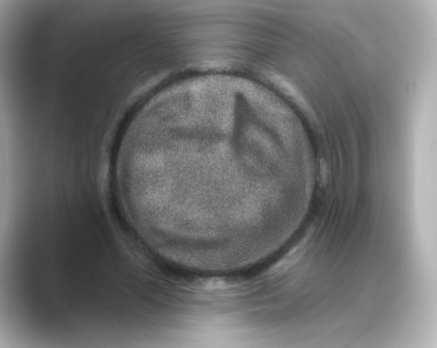 X0000088670588200706211852
