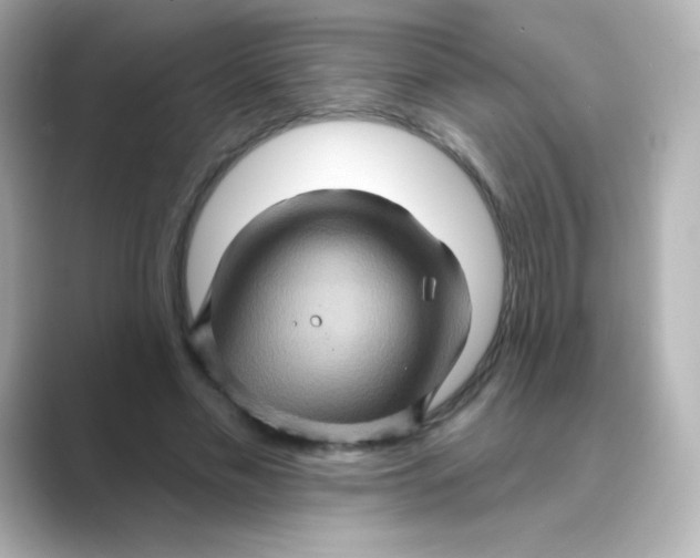 X0000088670589200706211852