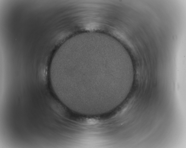X0000088670592200706211852
