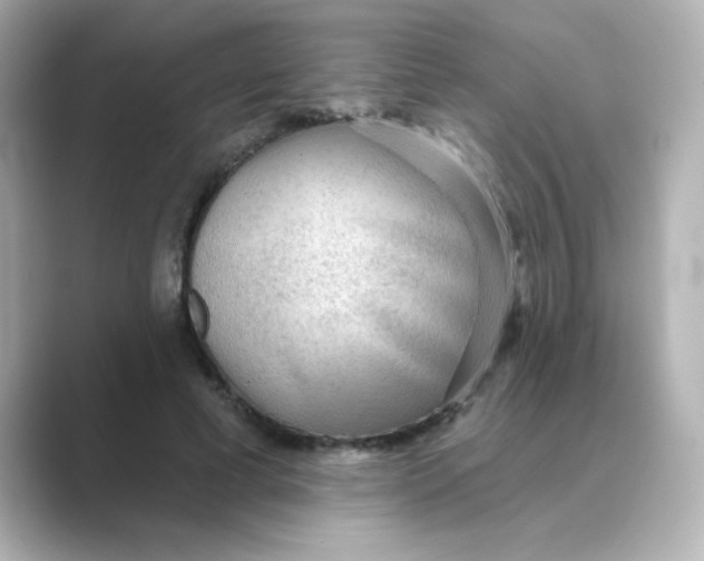 X0000088670593200706211852