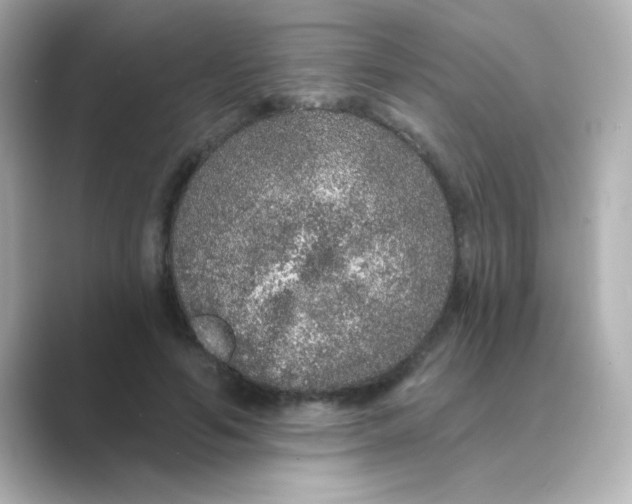 X0000088670594200706211852