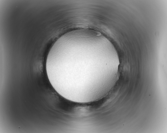 X0000088670595200706211852