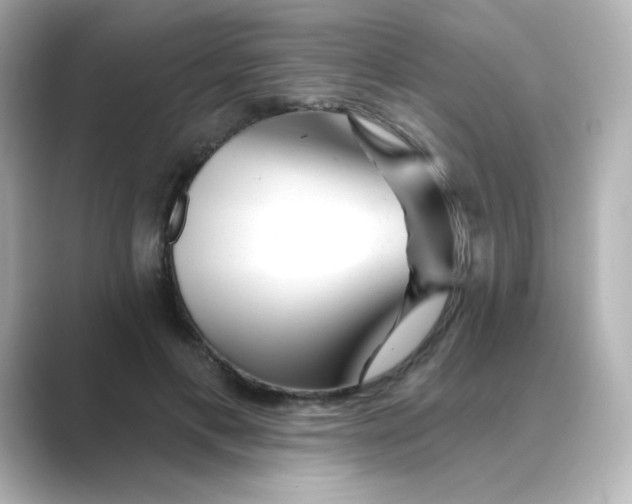X0000088670597200706211852