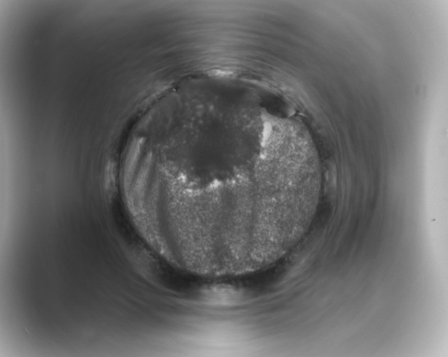 X0000088670598200706211852