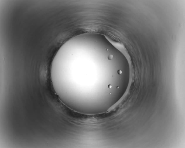 X0000088670600200706211852