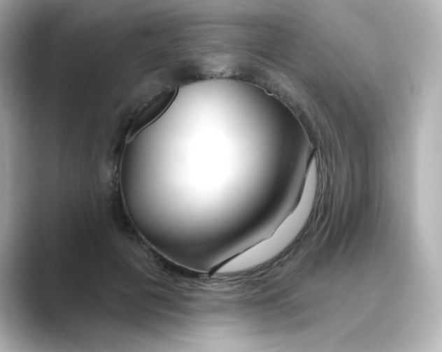 X0000088670601200706211852