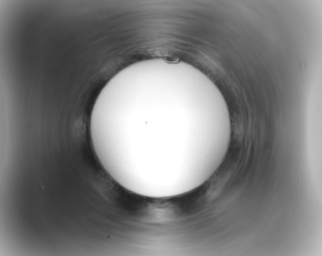 X0000088670603200706211852